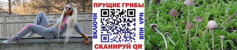 Псилоцибиновые грибы MAGIC MUSHROOMS  Кемь 