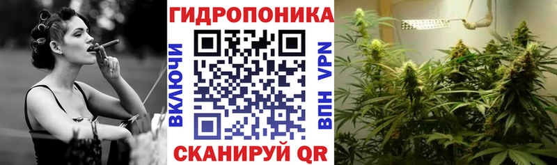 сколько стоит Кемь Канабис THC 21%
