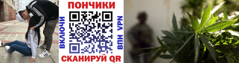 Бошки марихуана ГИДРОПОН Кемь